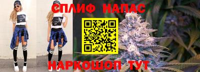 гидропоника Обь