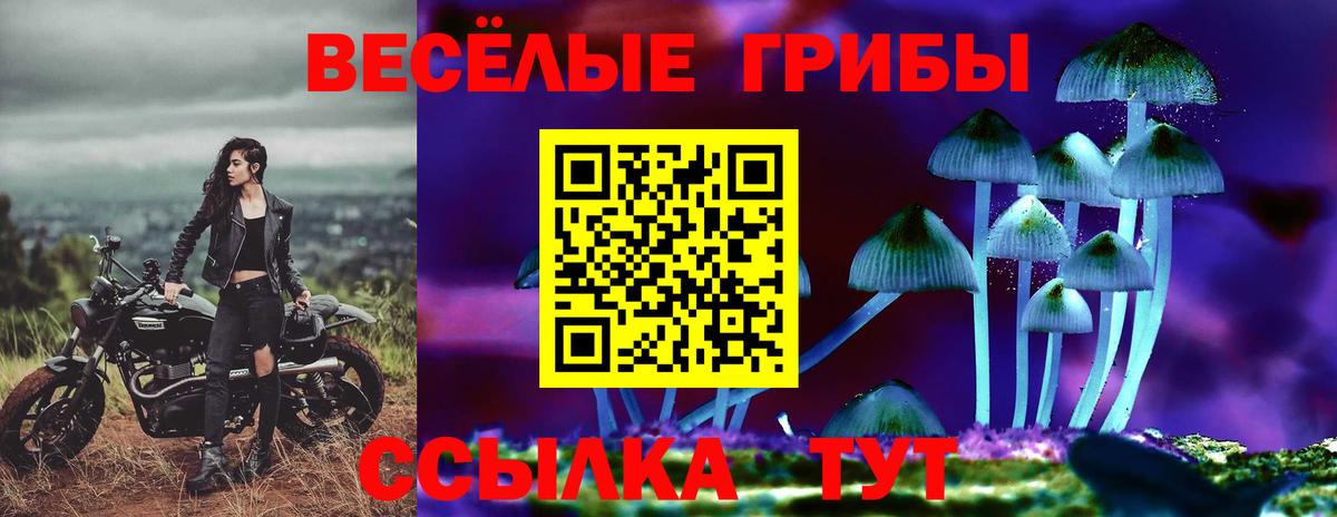 Сатка  продажа наркотиков  Вход с VPN  Псилоцибиновые грибы MAGIC MUSHROOMS 